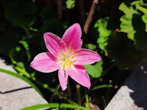 七张高低分牌规则图解